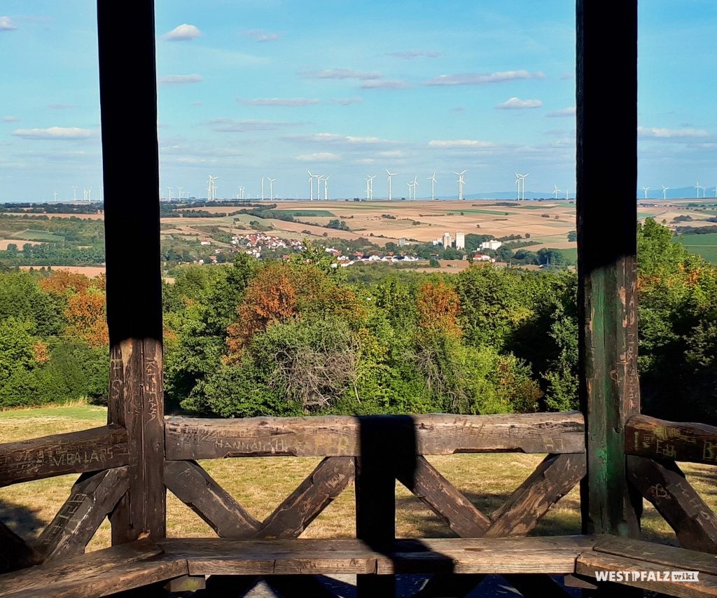 Blick von Schneckentürmchen im Schillerhain auf Kirchheimbolanden (2018).