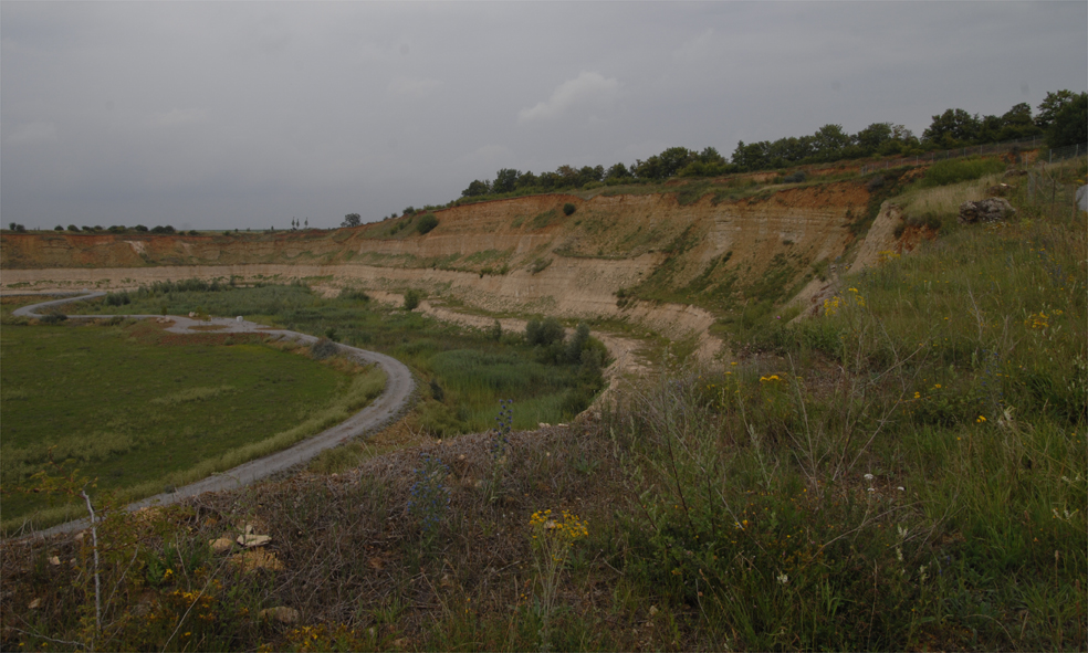DSC_0060_Thomas Stepan