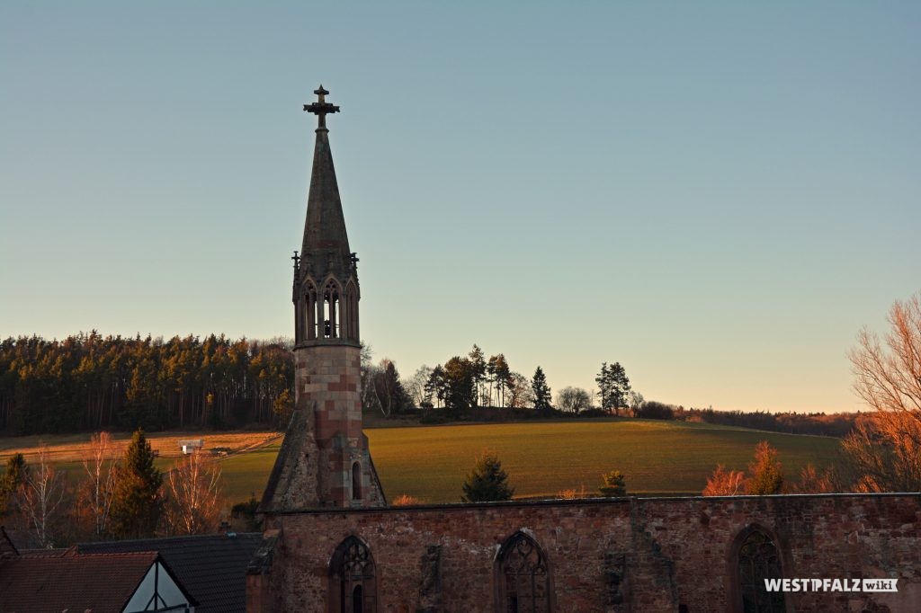 Sicht auf die Ruine des Kloster St. Maria in Rosenthal aus westlicher Richtung.