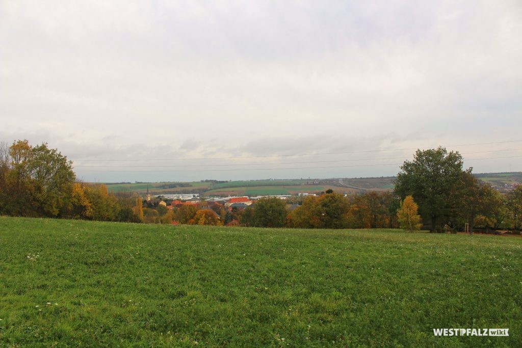 Aussicht von der Parkanlage Schillerhain in Richtung der im Tal gelegenen Stadt Kirchheimbolanden (2017).