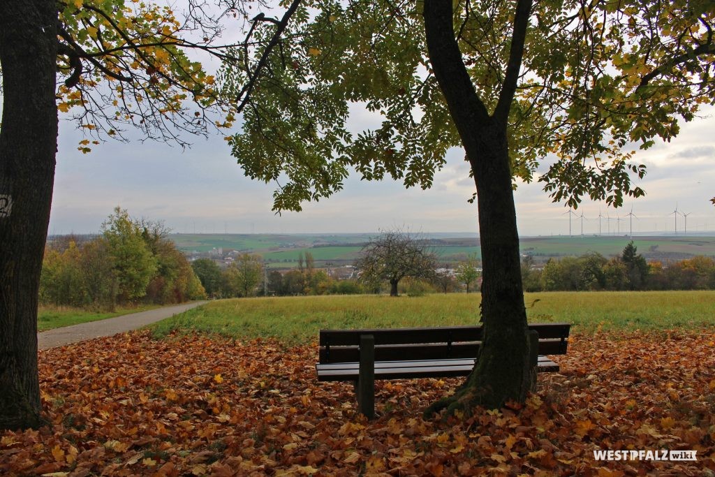 Parkanlage Schillerhain, Blick vom Standort des Wartturms in die Ferne und in Richtung Kirchheimbolanden im Herbst (2017).