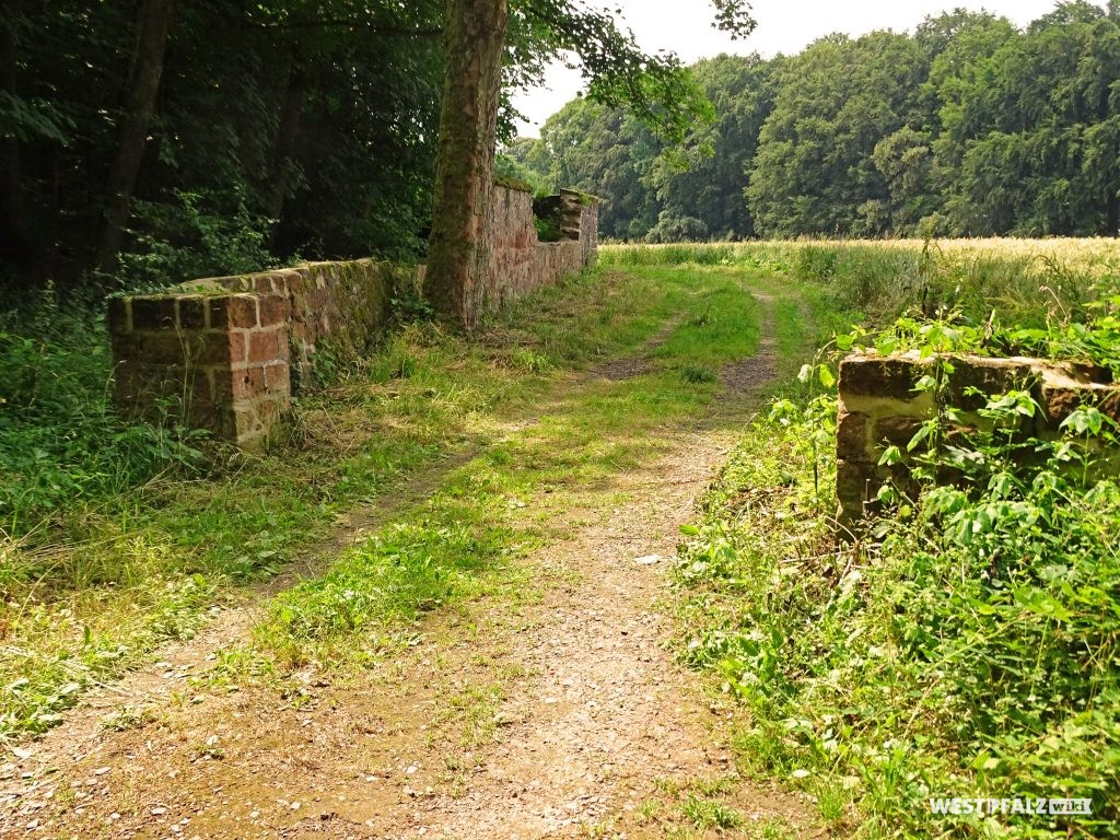 Teil der Mauer, die den Wildrosengarten in Zweibrücken begrenzt.