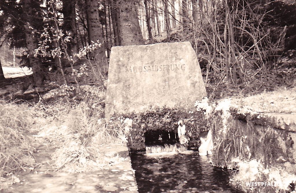 Quellenursprung der Mossalb beim Ritterstein „Moosalbsprung 40 Schr.“ bei Johanniskreuz im Jahre 1993.
