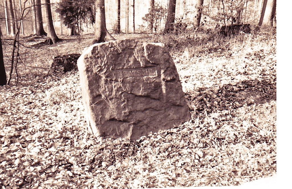 Der Ritterstein „Gratsohl“ bei Johanniskreuz im Jahre 1993.