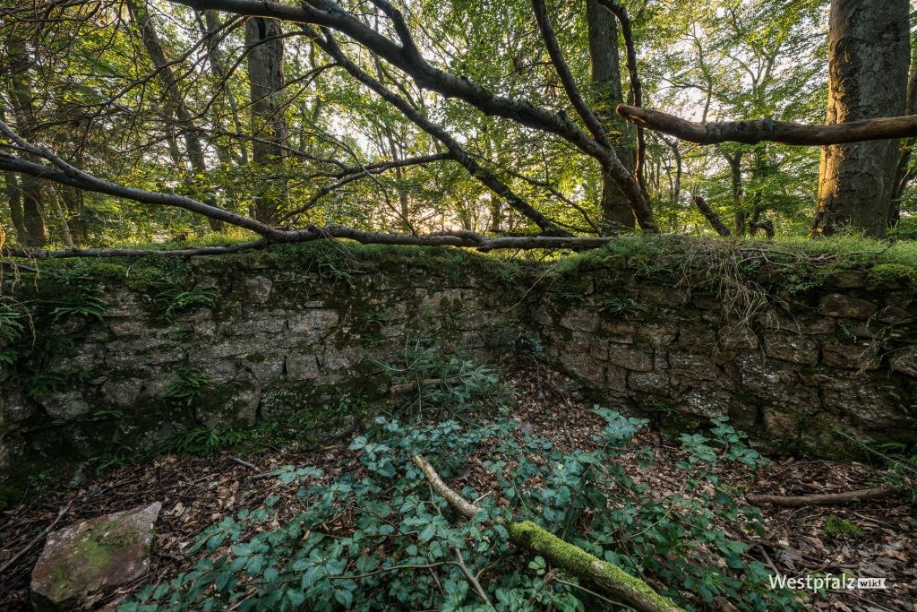 Burgruine Altenburg bei Theisbergstegen