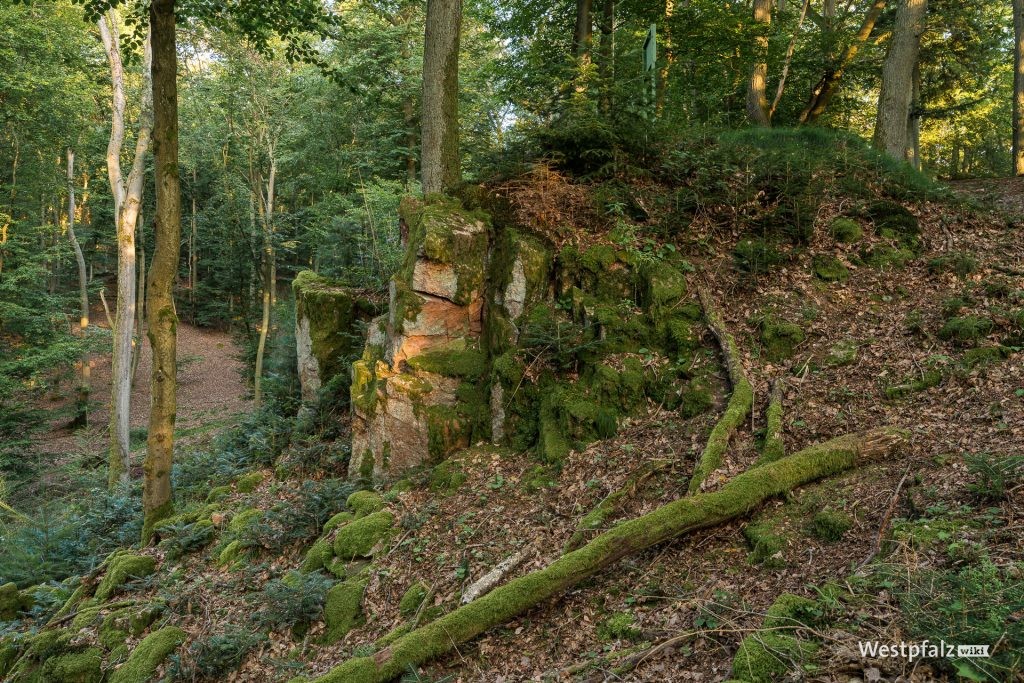 Burgruine Altenburg bei Theisbergstegen