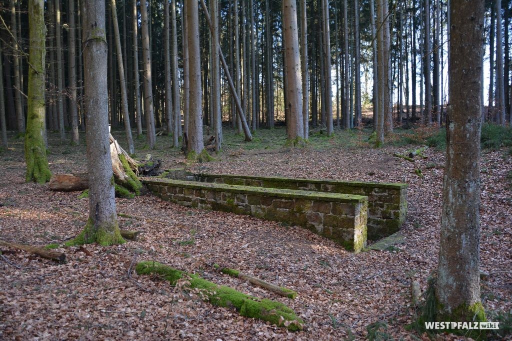 Der nördliche Zugang des Brunnenstollens in Trippstadt ist umgeben von Wald
