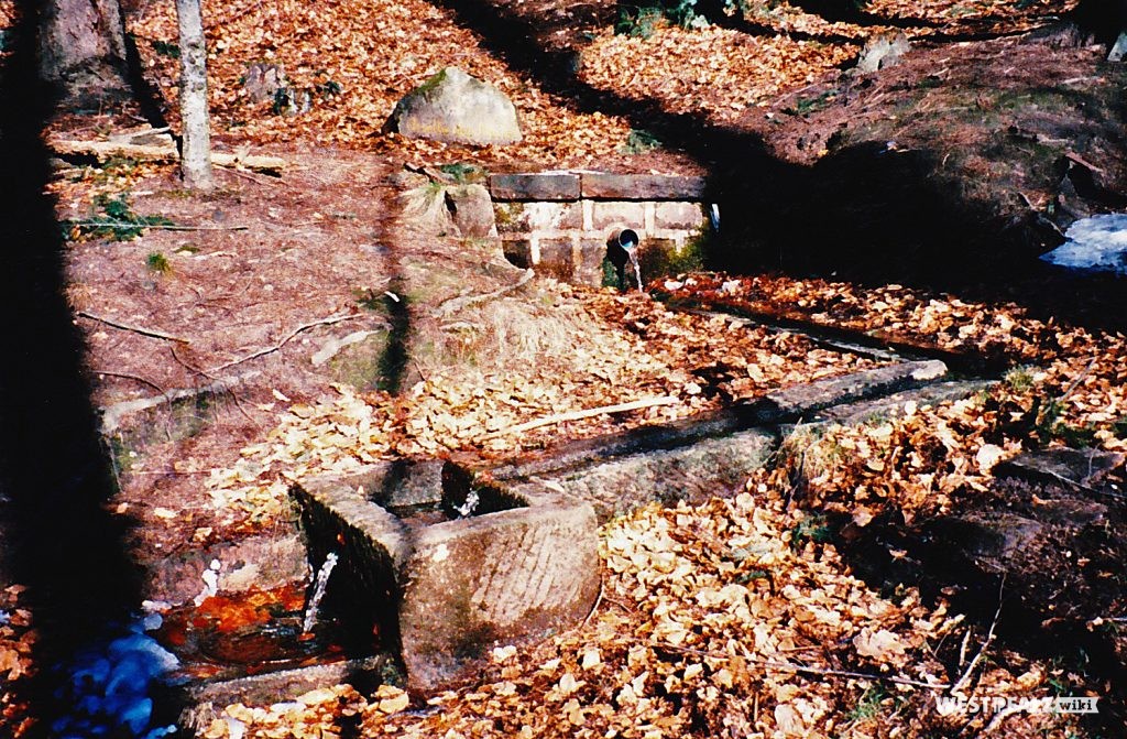 Die Quelle und ein weiterer Stein zum Ritterstein "Erlenbrunnen 140 Schr.", der als Quelle des Heils bezeichnet wird, abgebildet.