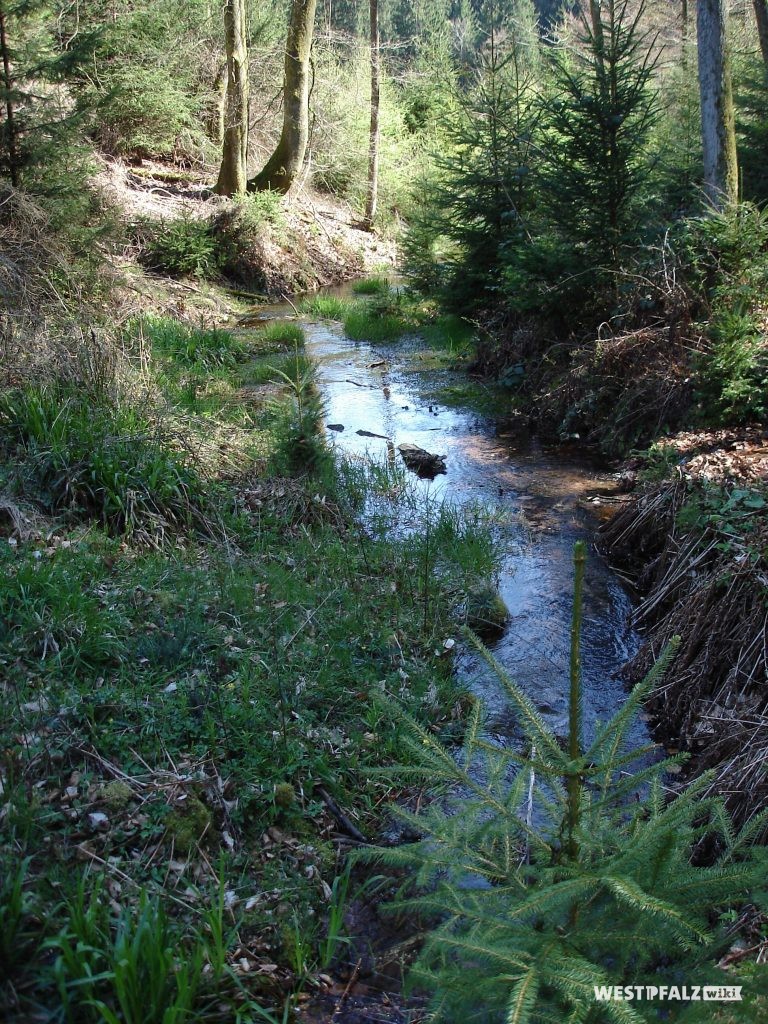 Verlauf des Glasbachs beim Ritterstein Nr. 188