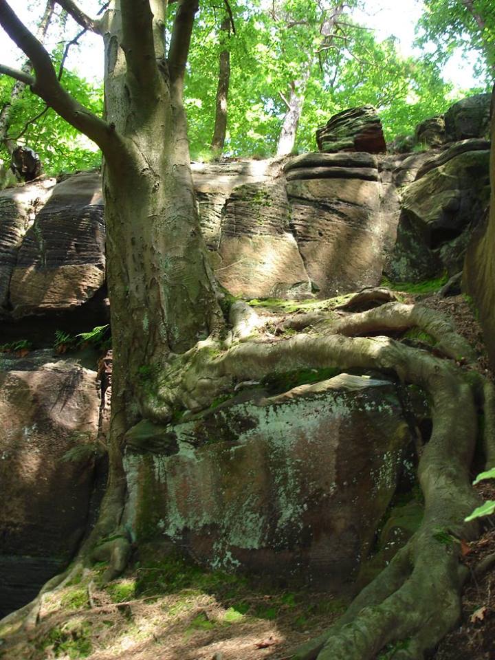 Krämerstein bei Landstuhl