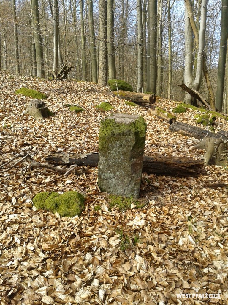 Grenzstein 1603/13 zwischen dem Herzogtum Pfalz-Zweibrücken und der Herrschaft Saarbrücken Nassau