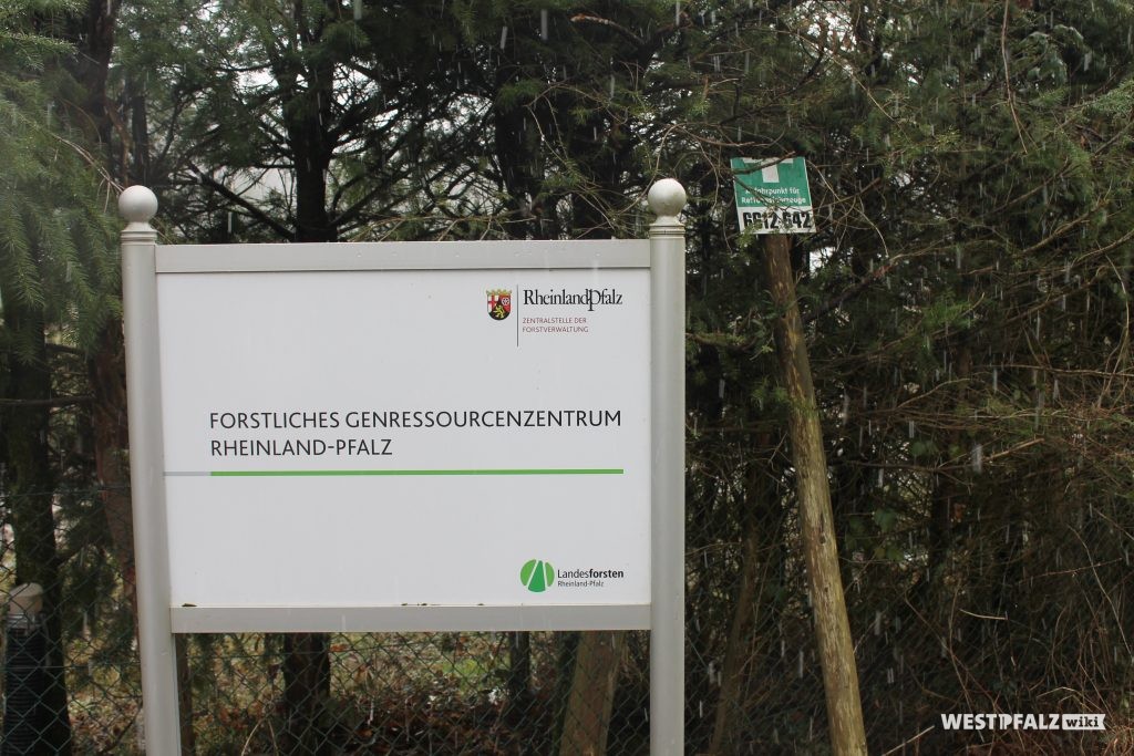 Schild des Forstlichen Genressourcenzentrums RLP