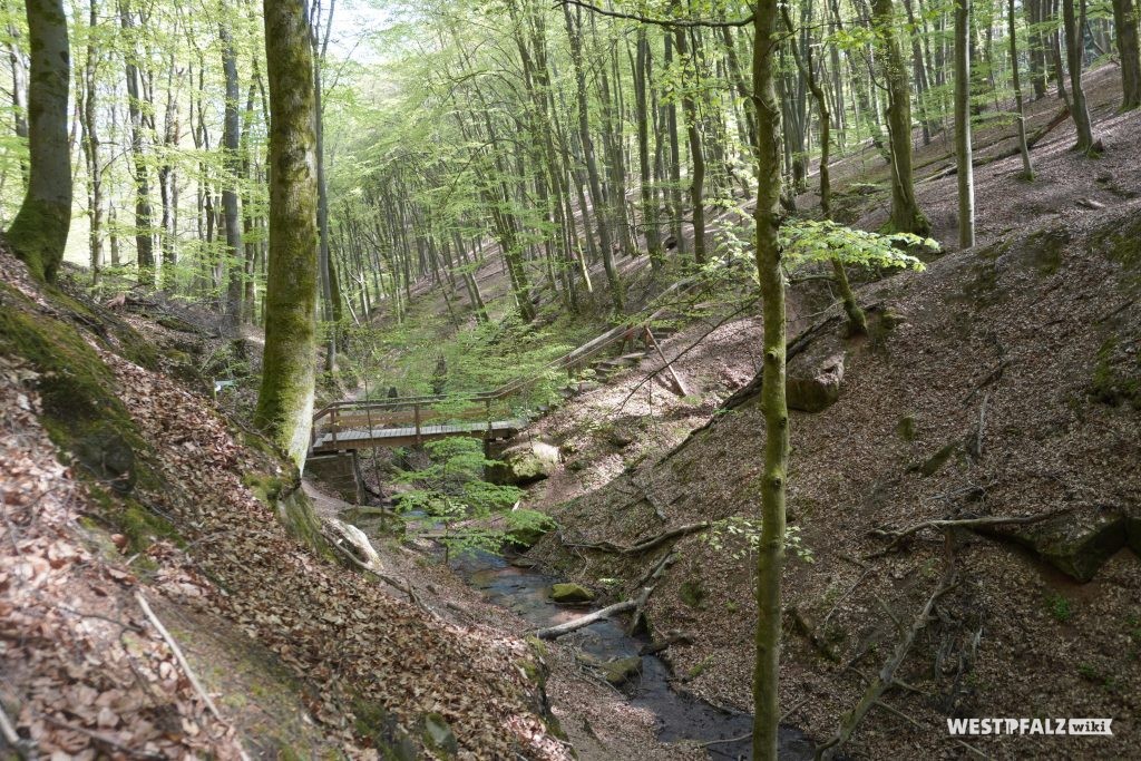 Elendsklamm bei Bruchmühlbach