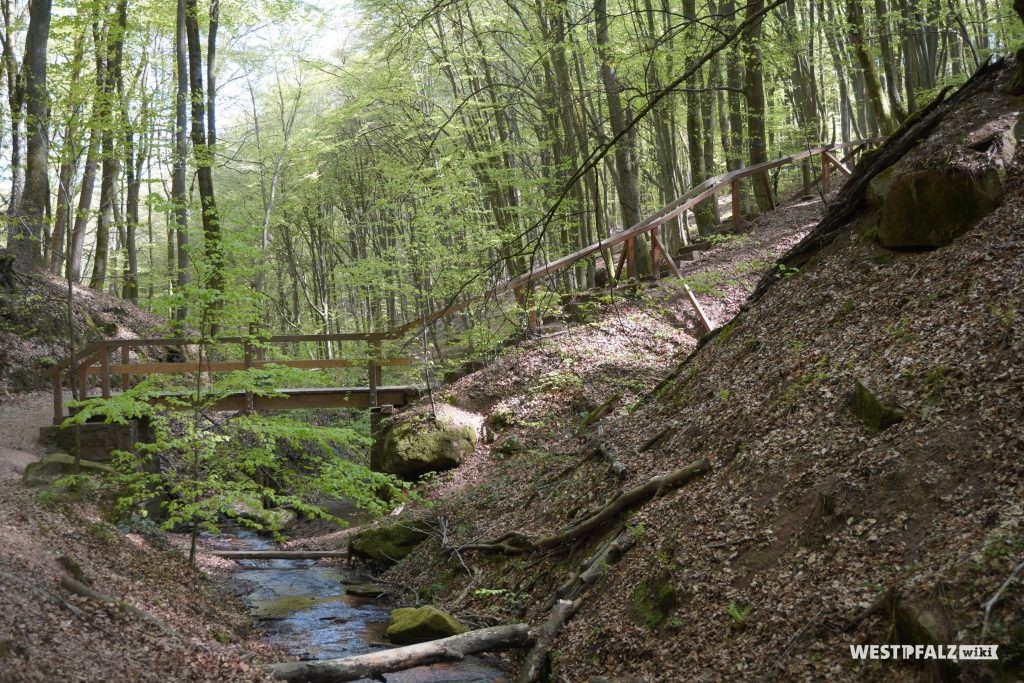 Bachlauf des Frohnbachs in der Elendsklamm