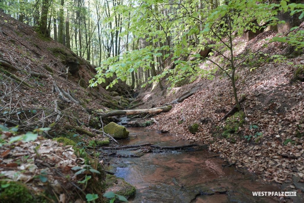 Elendsklamm in Bruchmühlbach