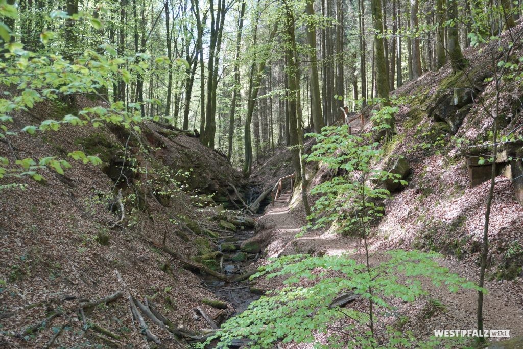 Stufenförmige Kaskaden und kleiner Wasserfall in der Elendsklamm