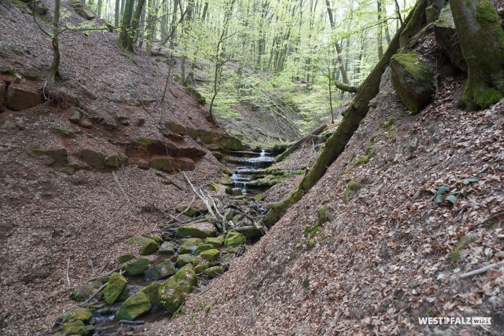 Wasserfall in der Elendsklamm