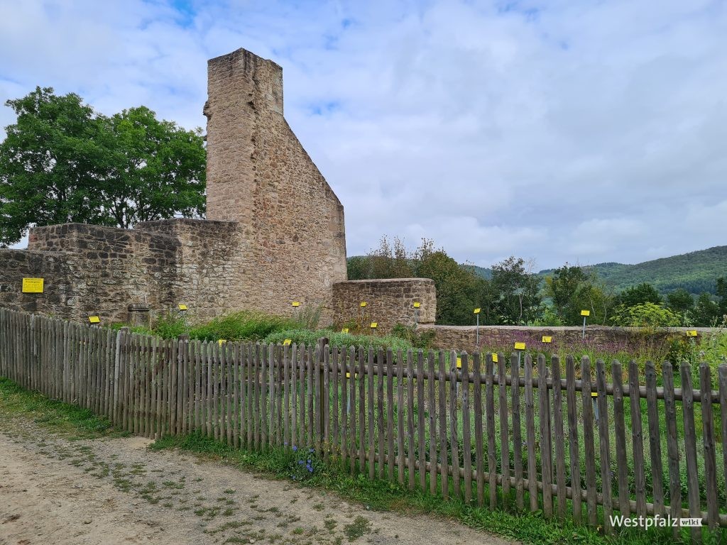 Kräutergarten der Burg Lichtenberg in Thallichtenberg