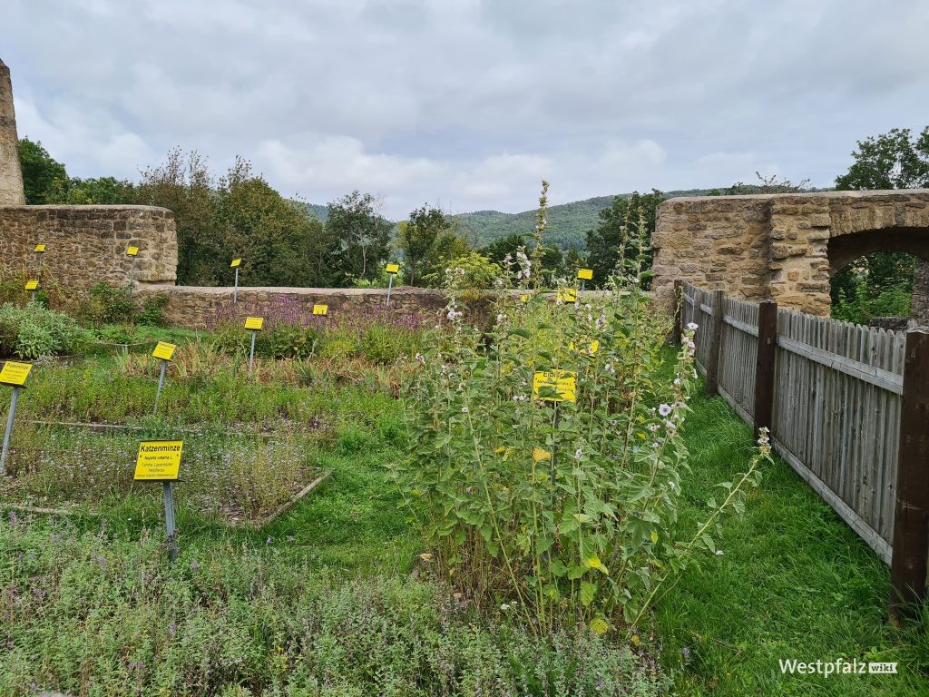 Kräutergarten der Burg Lichtenberg in Thallichtenberg