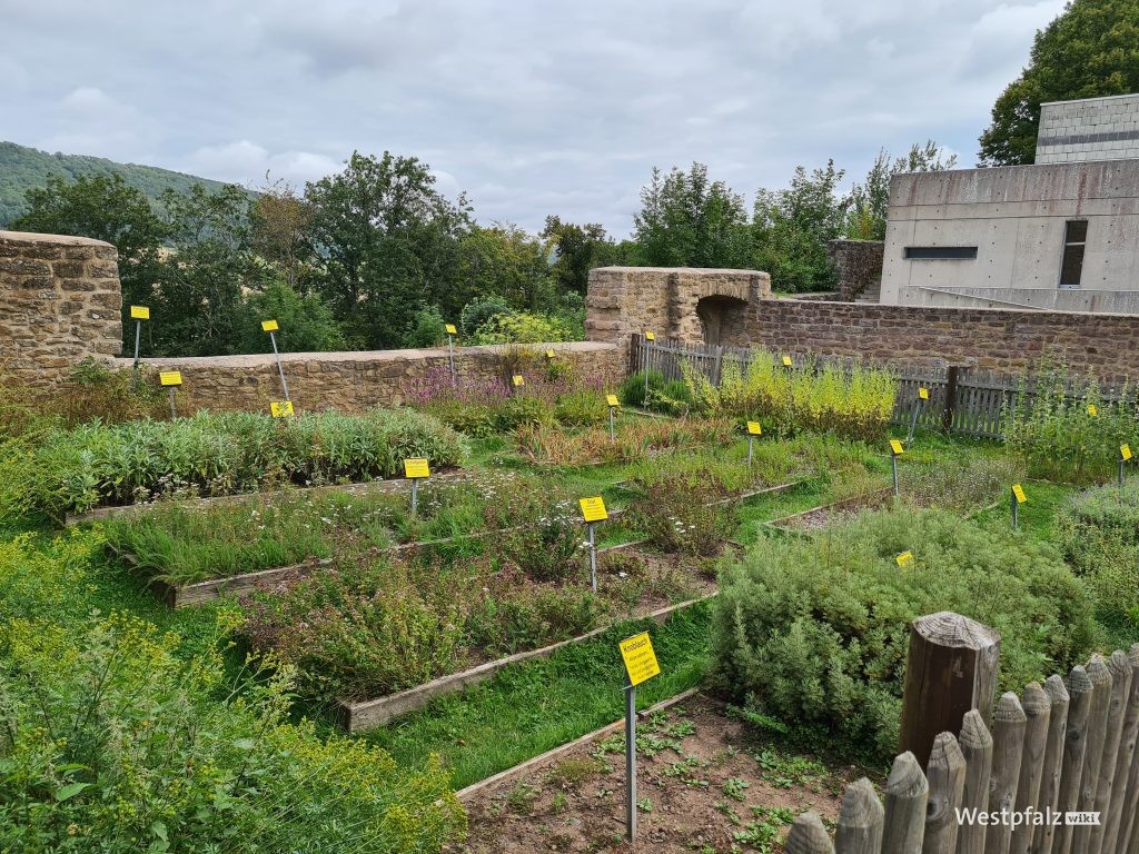 Kräutergarten der Burg Lichtenberg in Thallichtenberg