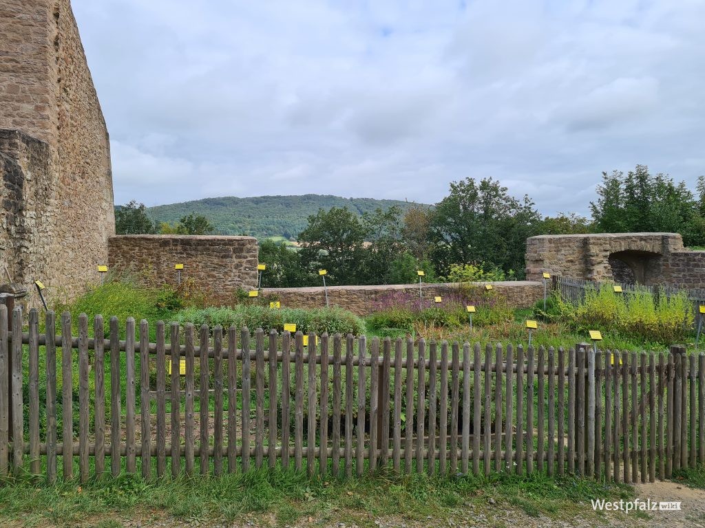 Kräutergarten der Burg Lichtenberg in Thallichtenberg