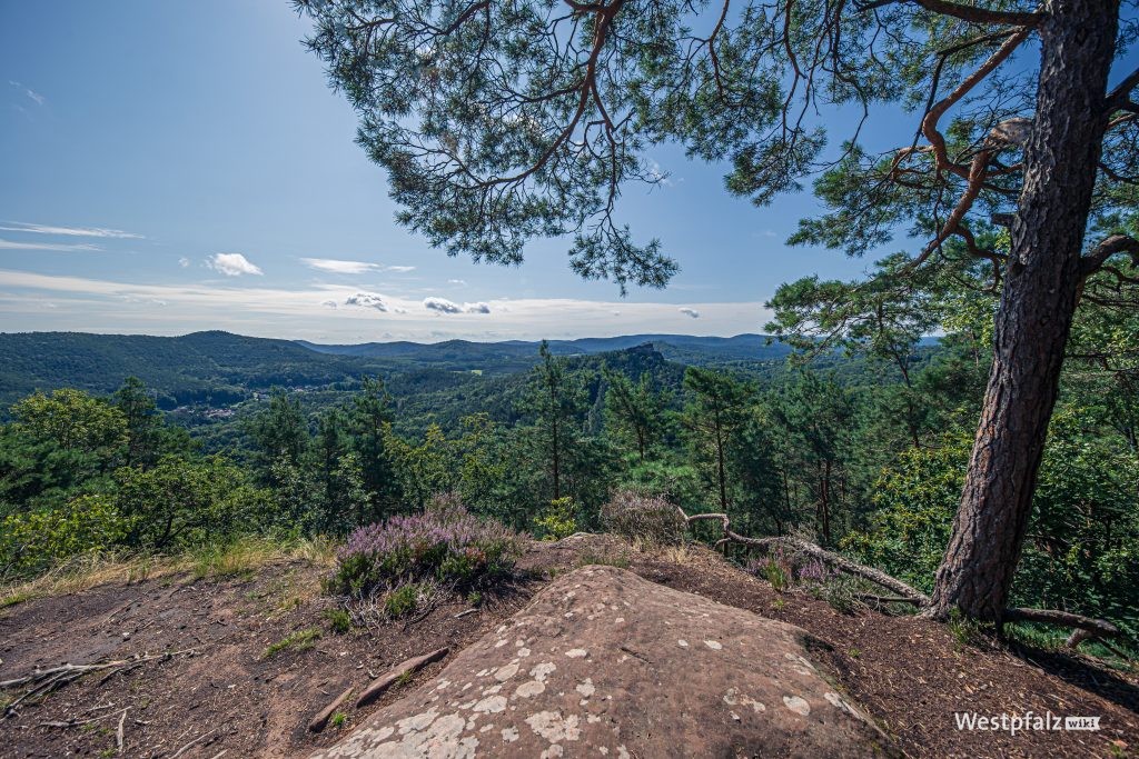 Kühhungerfelsen bei Schwanheim