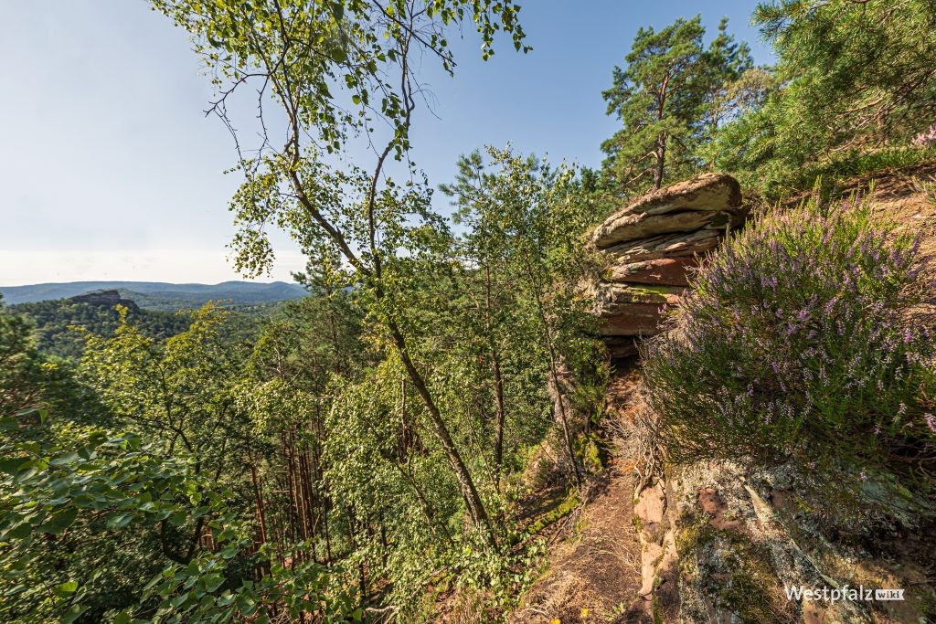 Kühhungerfelsen bei Schwanheim