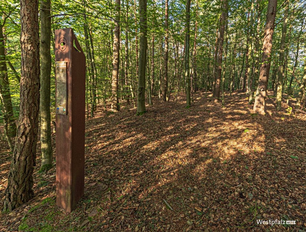 Keltische Hügelgräber bei Mehlingen in der Waldabteilung "Budel"