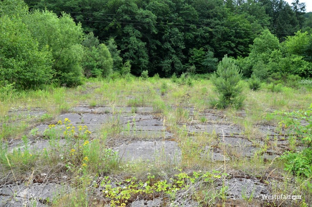 Betonierte Bodenplatten am Rand des Pfalzwerke-Geländes aus der früheren Lagerzeit