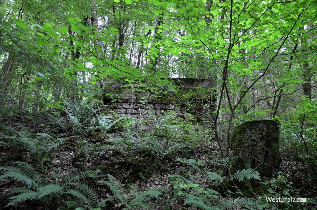 Reste einer Brücke der Wasgenwaldbahn