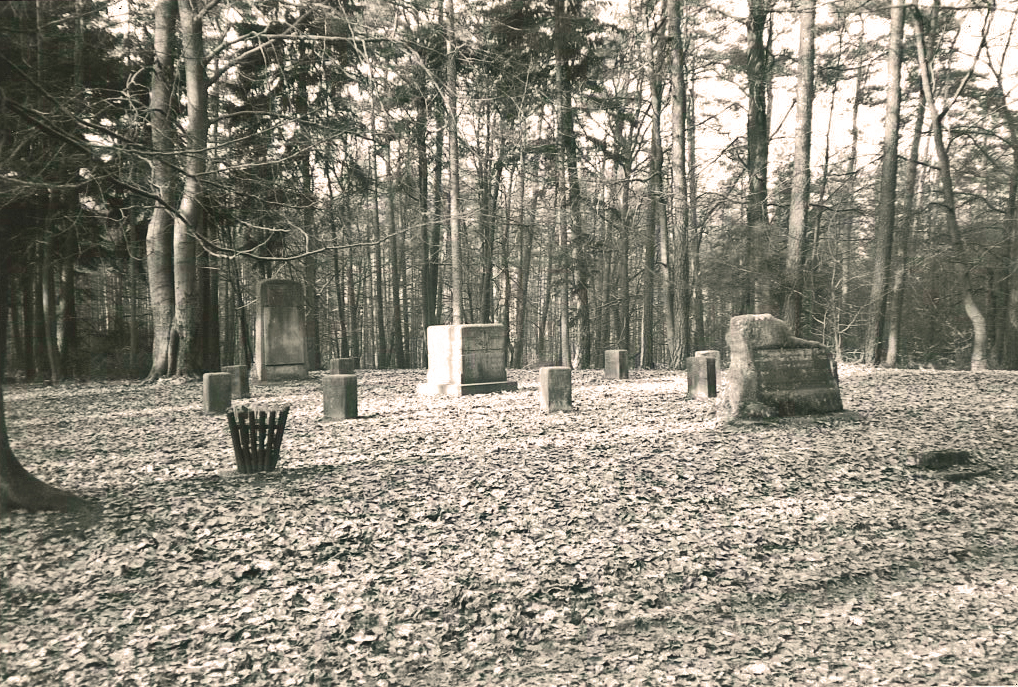 Ritterstein Nr. 289 bei Neuhemsbach mit der Inschrift "Hier befand sich das Landgericht auf dem Stampe - Gerichtsstätte der Grafen von Leiningen - später Rügegericht Neun Stühle"