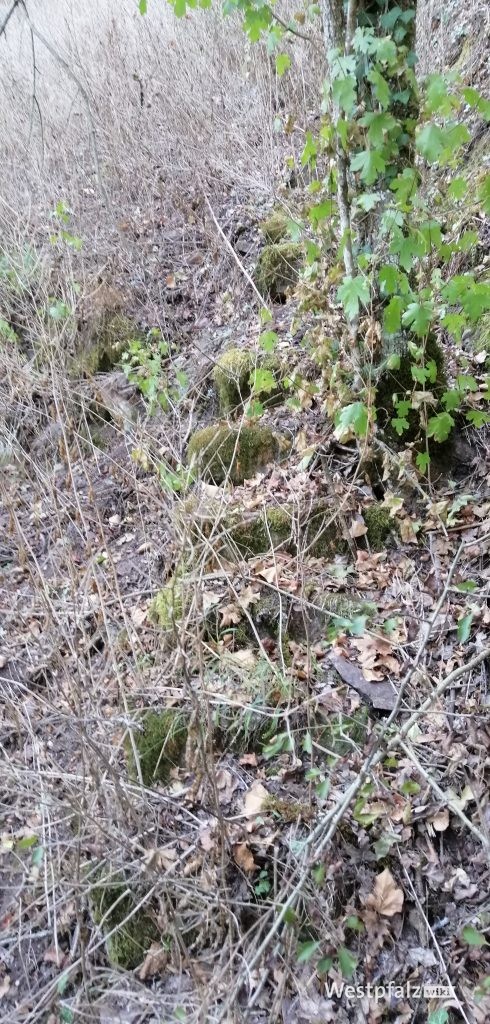 Steinfragmente auf dem Gelände des ehemaligen Felsengartens