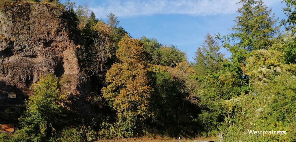 Blick auf das ehemalige Areal des Felsengartens