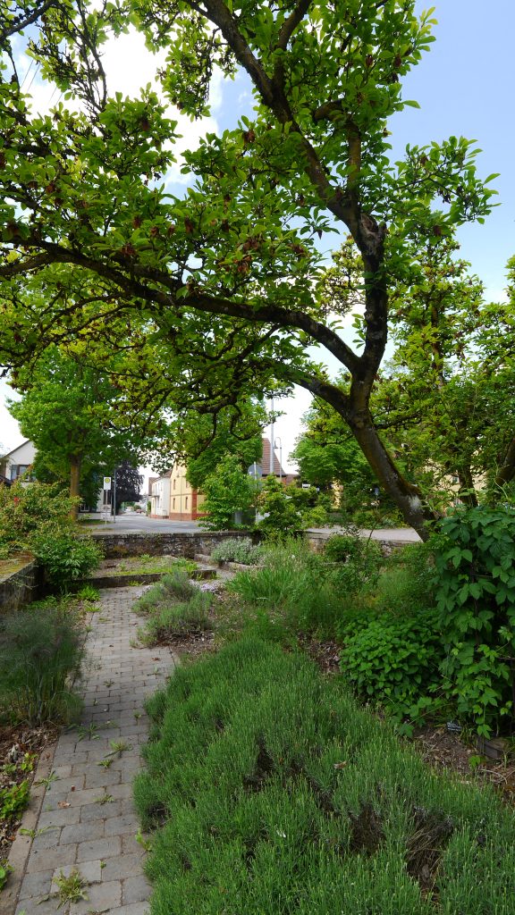 P1830786